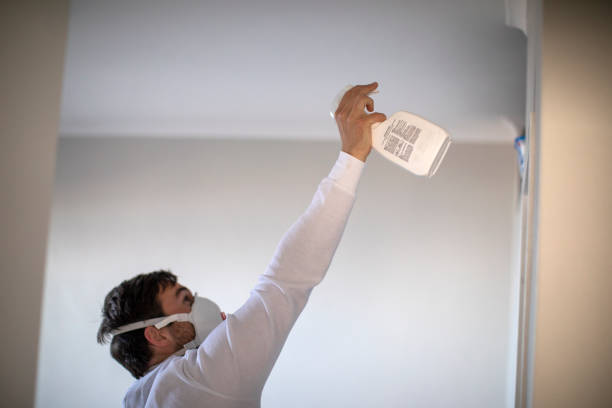 Best Crawl Space Mold Removal  in Madison, MN