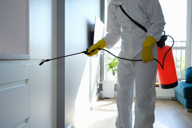 Best Mold Removal Specialists  in Madison, MN